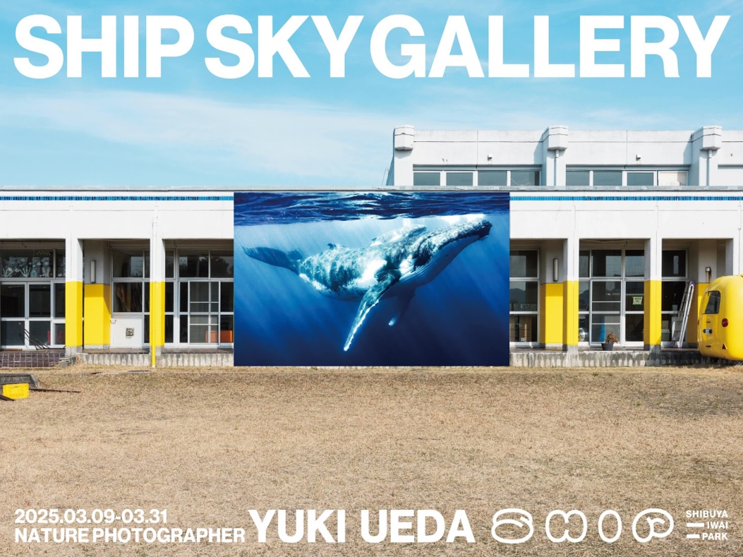 SHIP SKY GALLERY