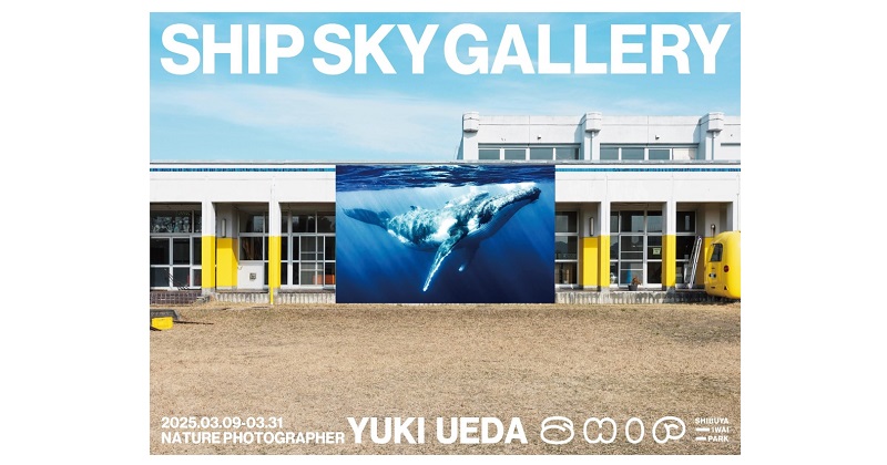 QO、Nature Photographer 上田優紀氏の作品を屋外に展示する「SHIP SKY GALLERY 青空動物写真展」を共催。